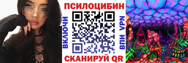как найти закладки  Кинешма  Галлюциногенные грибы Cubensis 