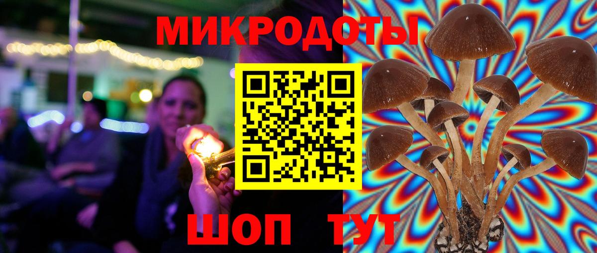 Галлюциногенные грибы мицелий  Вход с VPN  Галлюциногенные грибы Psilocybine cubensis  Кинешма 