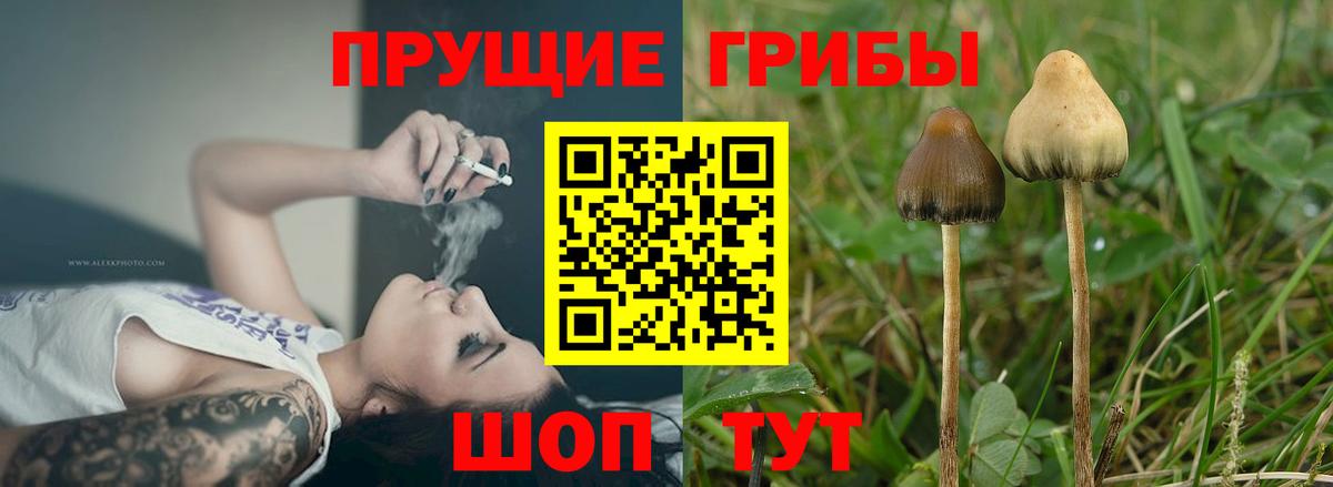 Галлюциногенные грибы мухоморы Кинешма